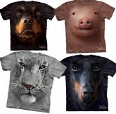 Camisetas
