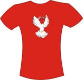Camisetas Masculinas